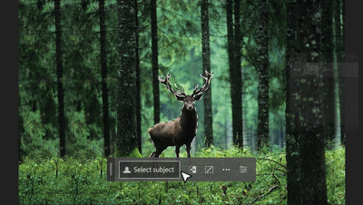 2.gif